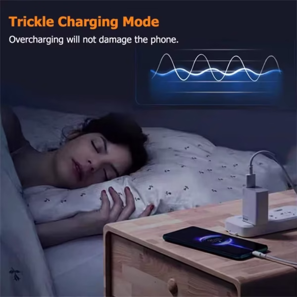 Branded Denmen USB Quick Charging Mobile Phone Power Adapter - Image 4