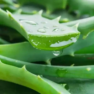 3 Pics Imported Aloe Soothing Moisturizing Face Mask Sheets Skin Care