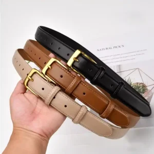 Luxury Leather Belt for Women Casual Dress Metal Buckle Ladies Fashion