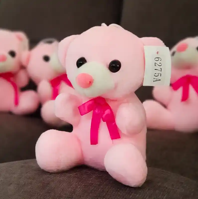 New Black Eyes Mini Plush Bear Gift 🐼